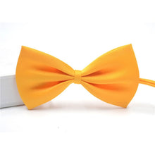 Load image into Gallery viewer, Adjustable Dog Cat Bow Tie pet bow tie puppy Necktie different colors Pets Accessories supply